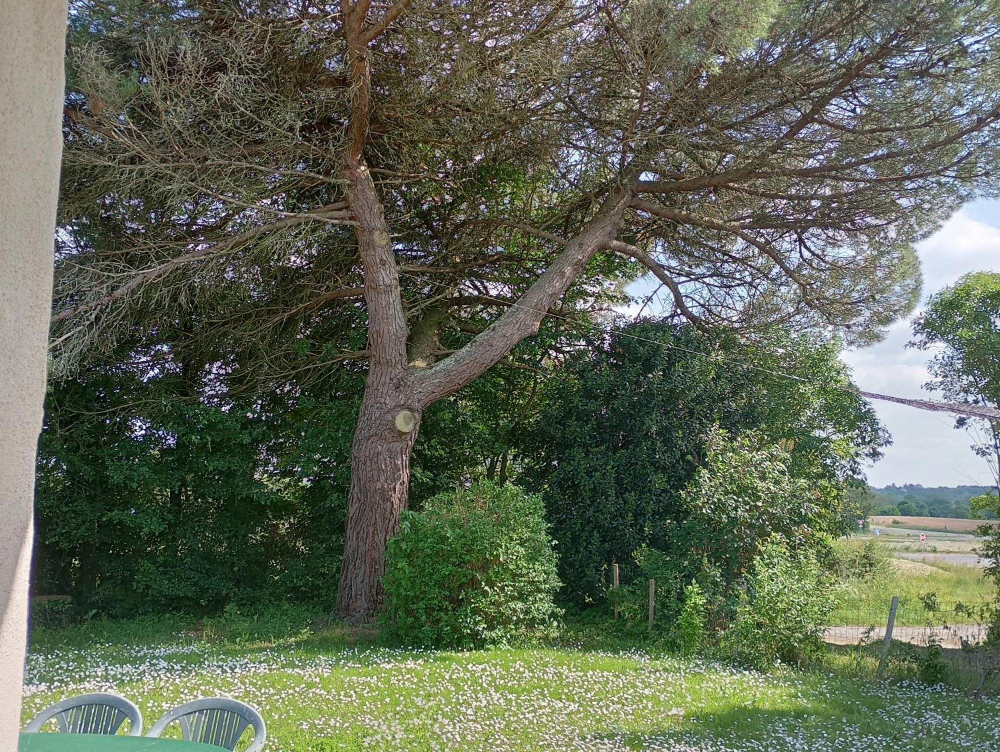 Gite Du Petit Gue Frossay Ruang foto